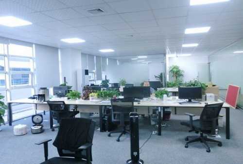 吴江区窗帘清洗店家